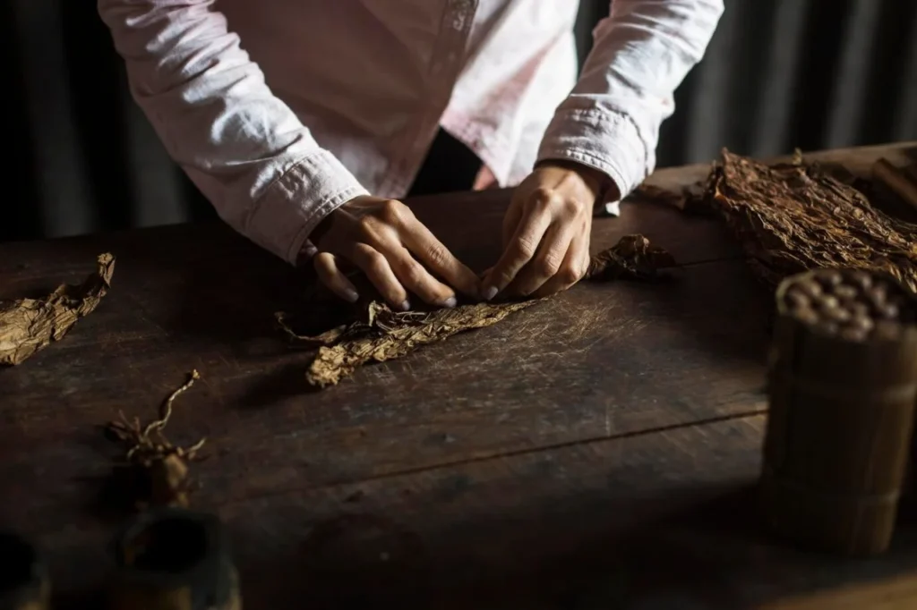 Fresh, hand-selected leaves for the perfect blend