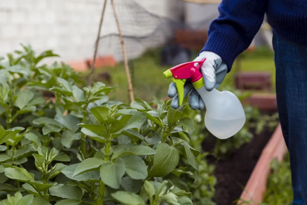 Eco-friendly solutions for a healthier harvest